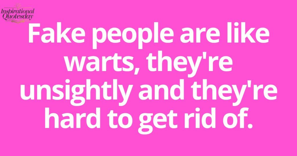 Funny Quotes on Fake Friends