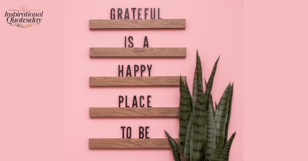 Grateful is a happy place to be