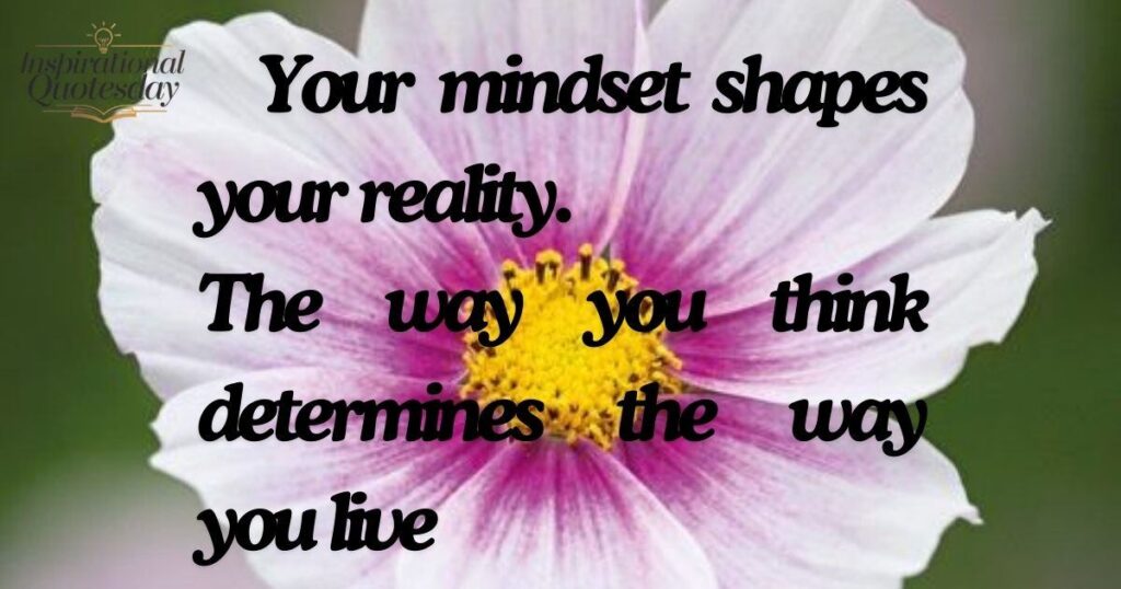 Your mindset shapes your reality
