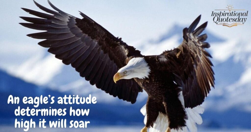 Attitude Eagle Quotes on Success