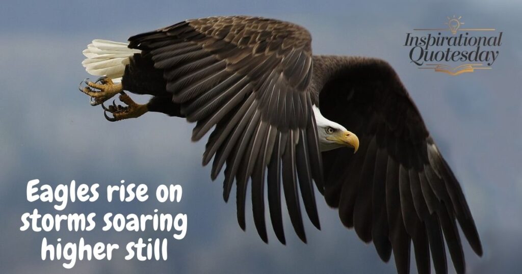 Famous Eagle Quotes for Inspiration