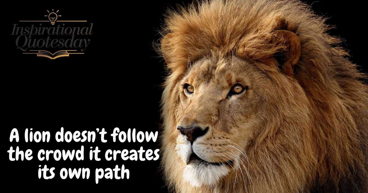 Lion Quotes
