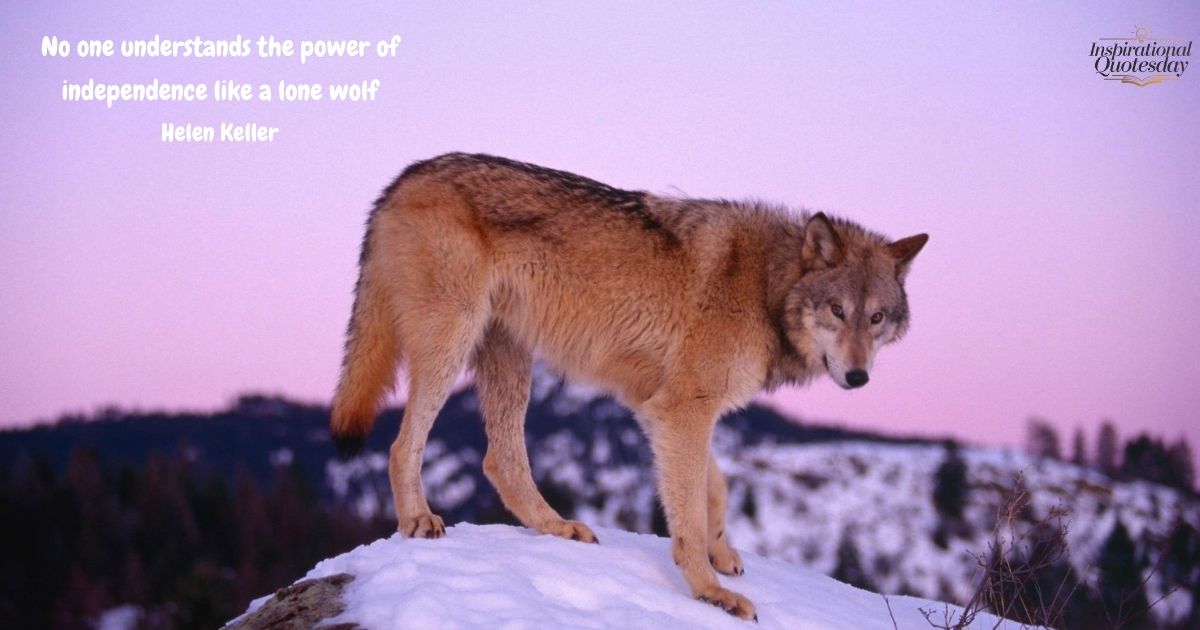 Lone Wolf Quotes