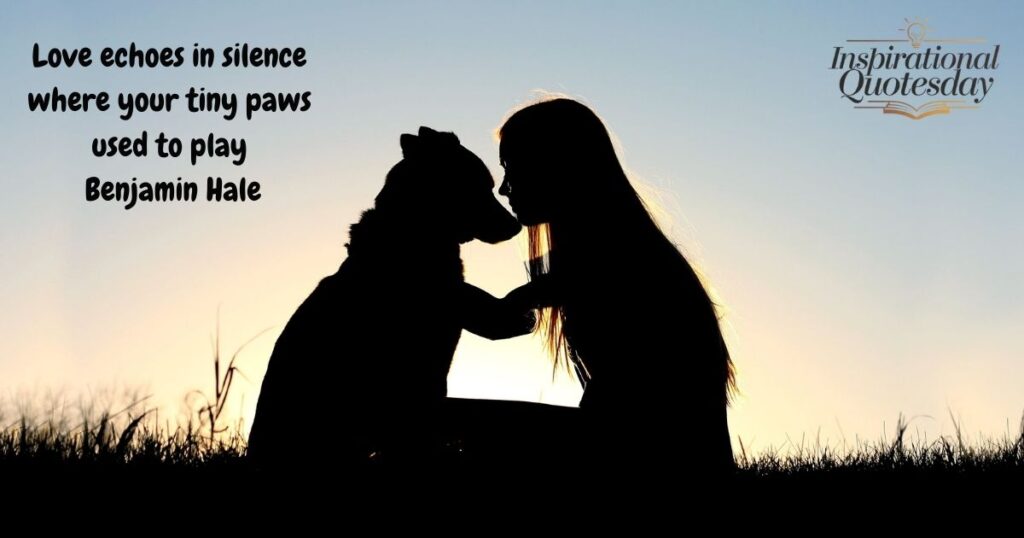 Poetic Mourning Quotes for Pets