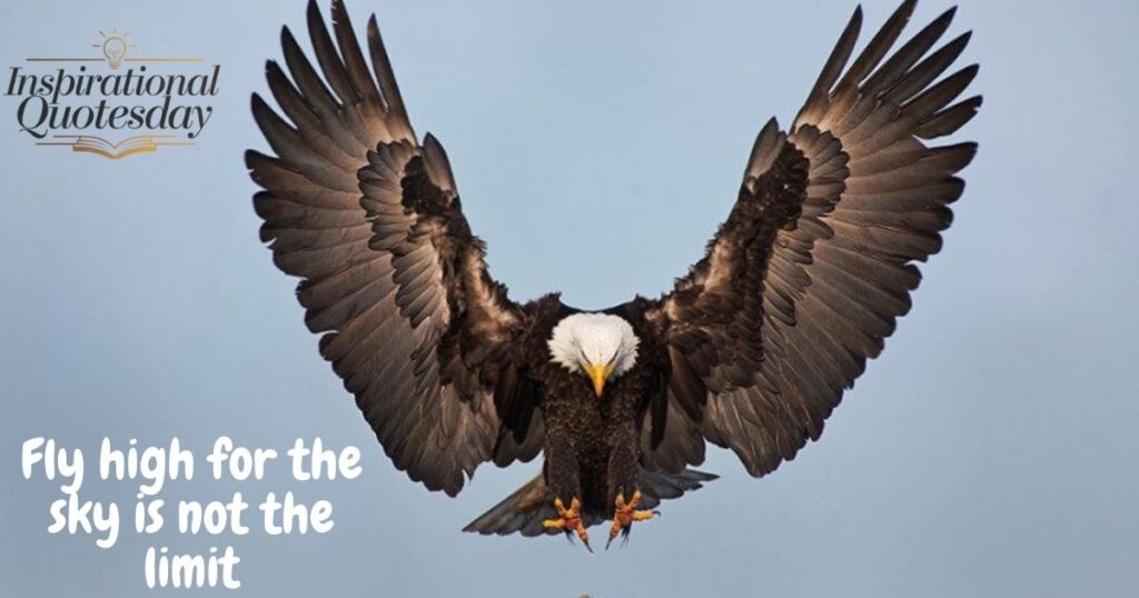 Short Eagle Quotes