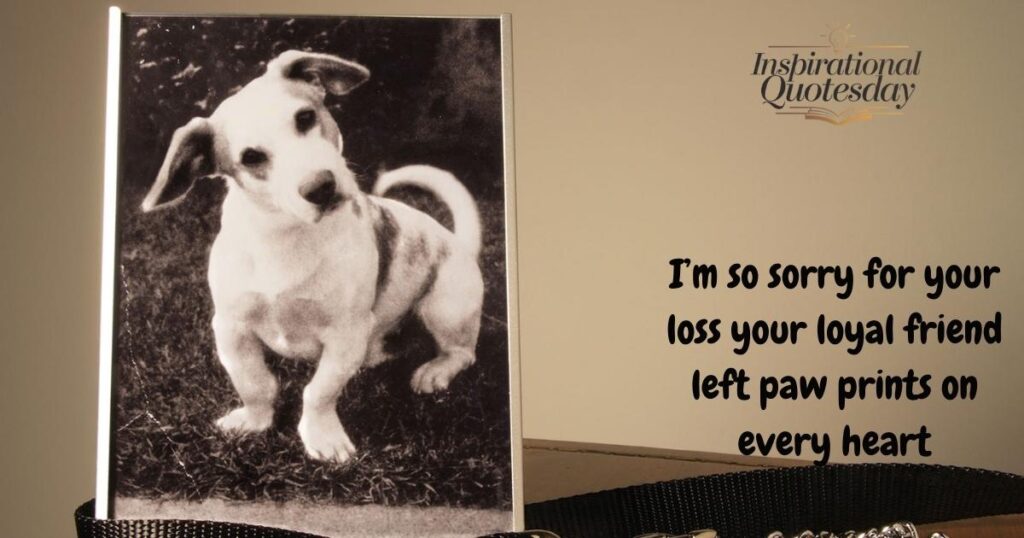Sympathy Messages for Pet Loss