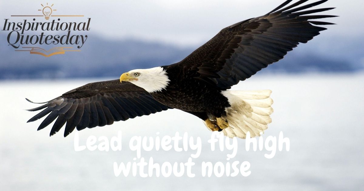 eagle quotes